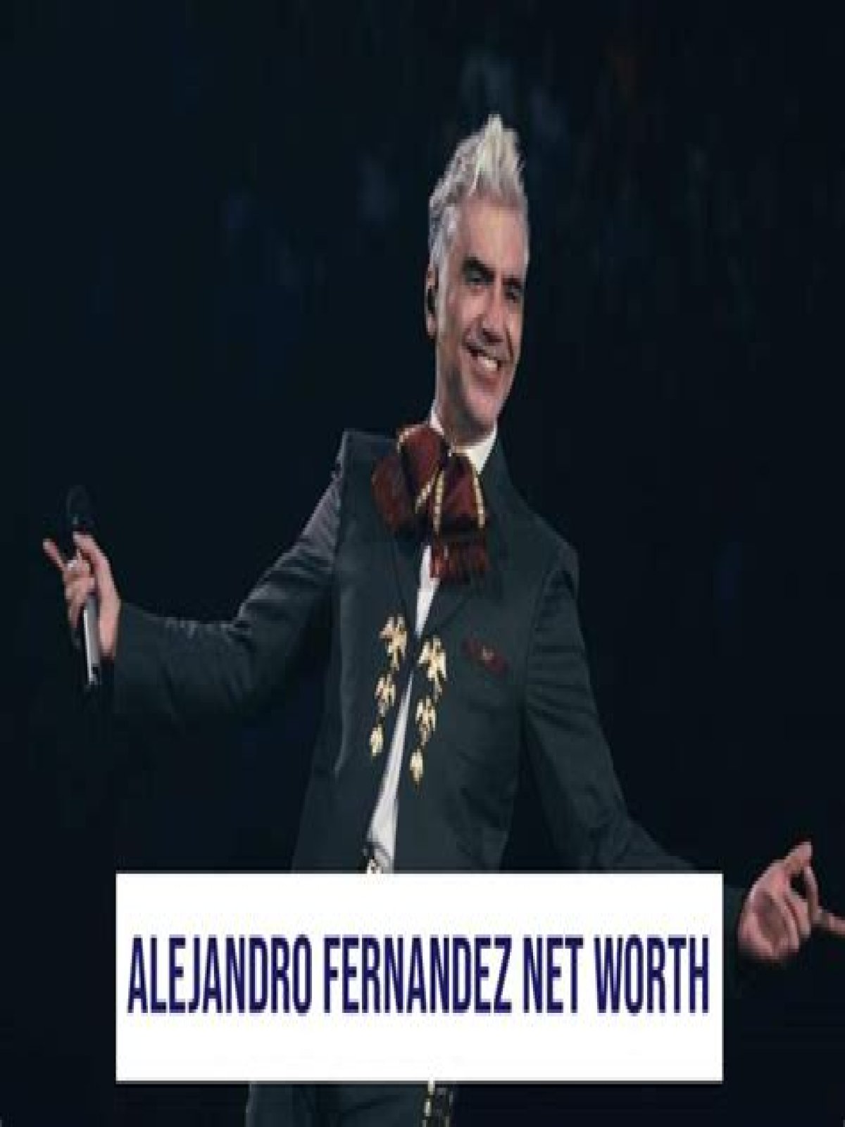alejandro fernandez net worth