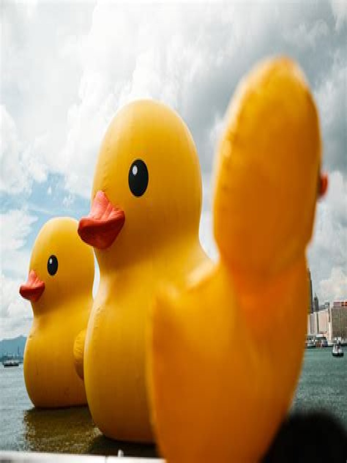 Are rubber ducks made of PVC?