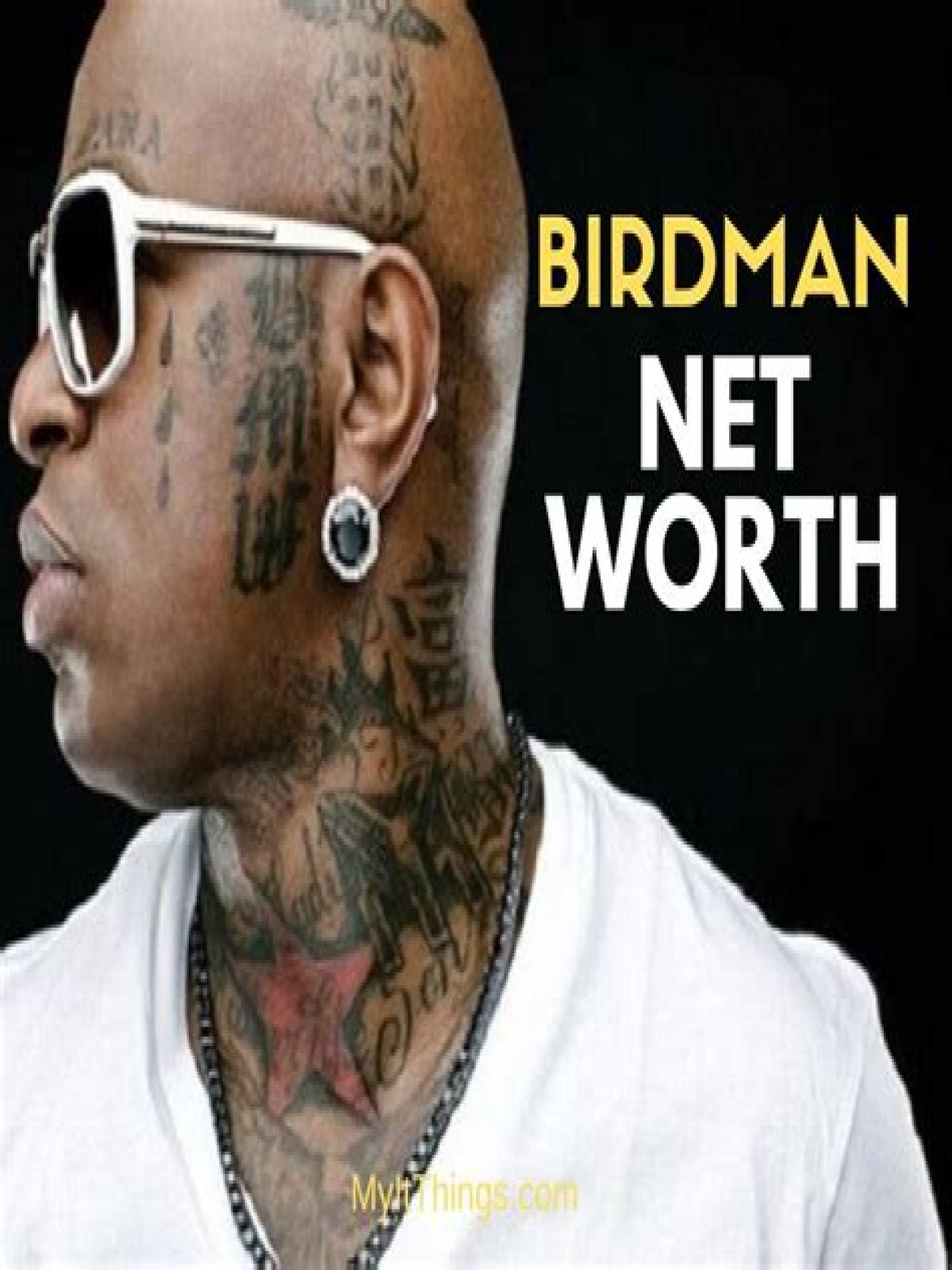 Birdman Net Worth