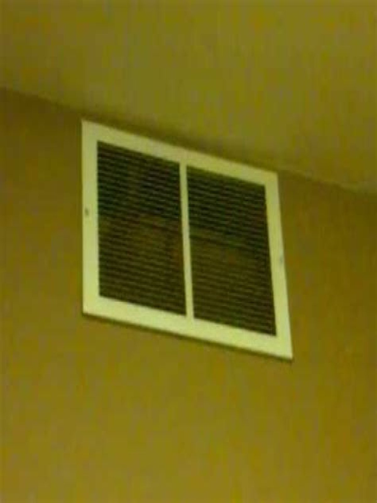 Can bats squeeze through vents?