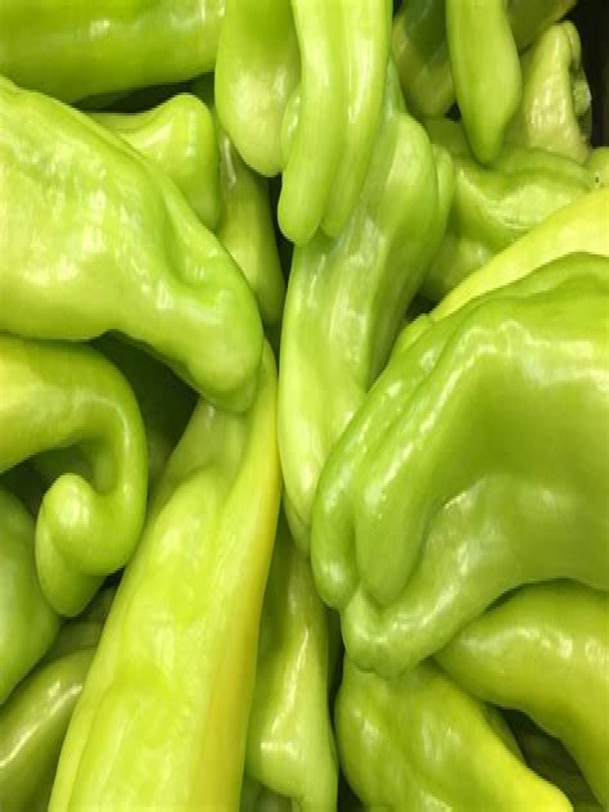 cubanelle peppers