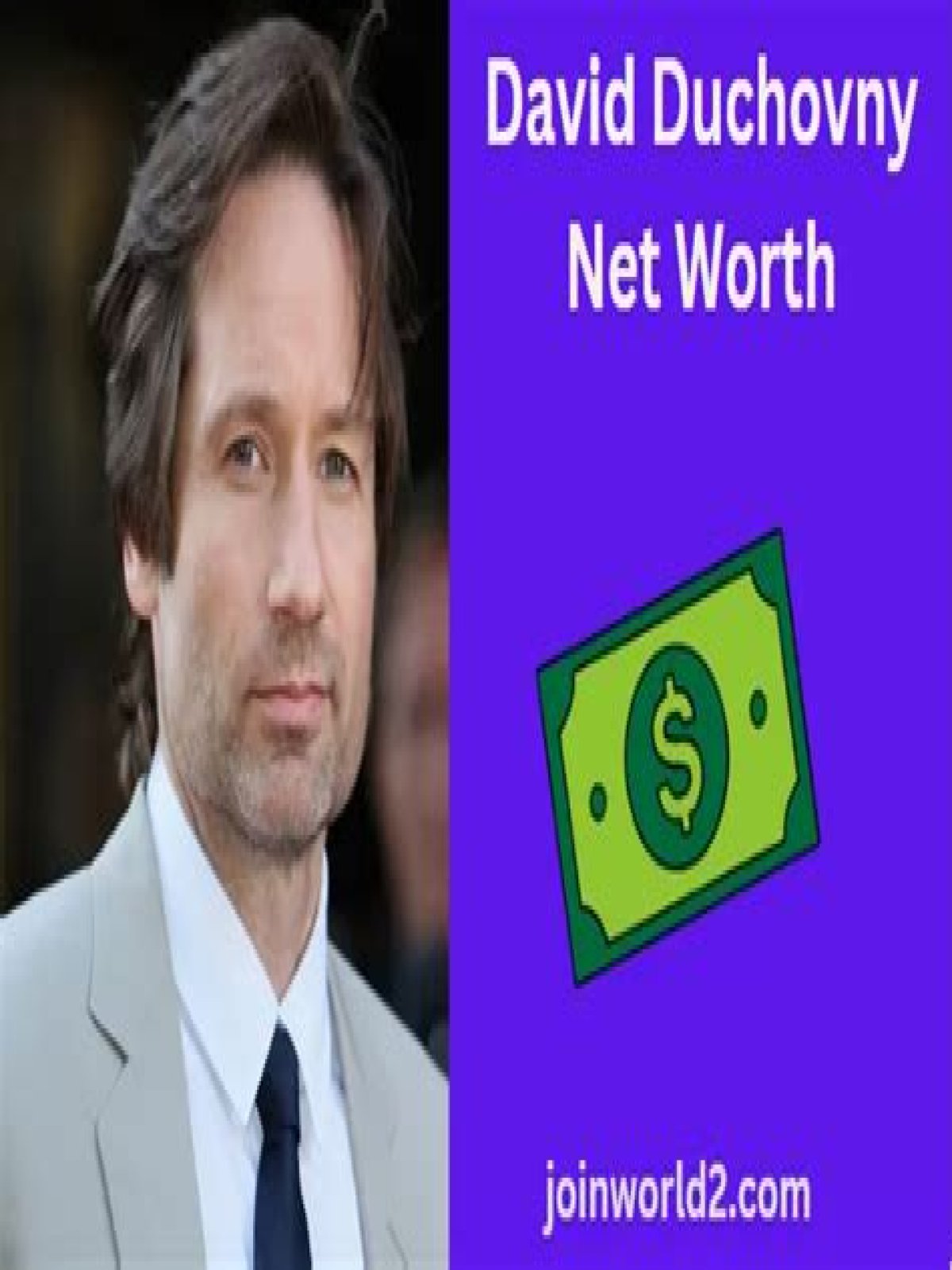 david duchovny net worth