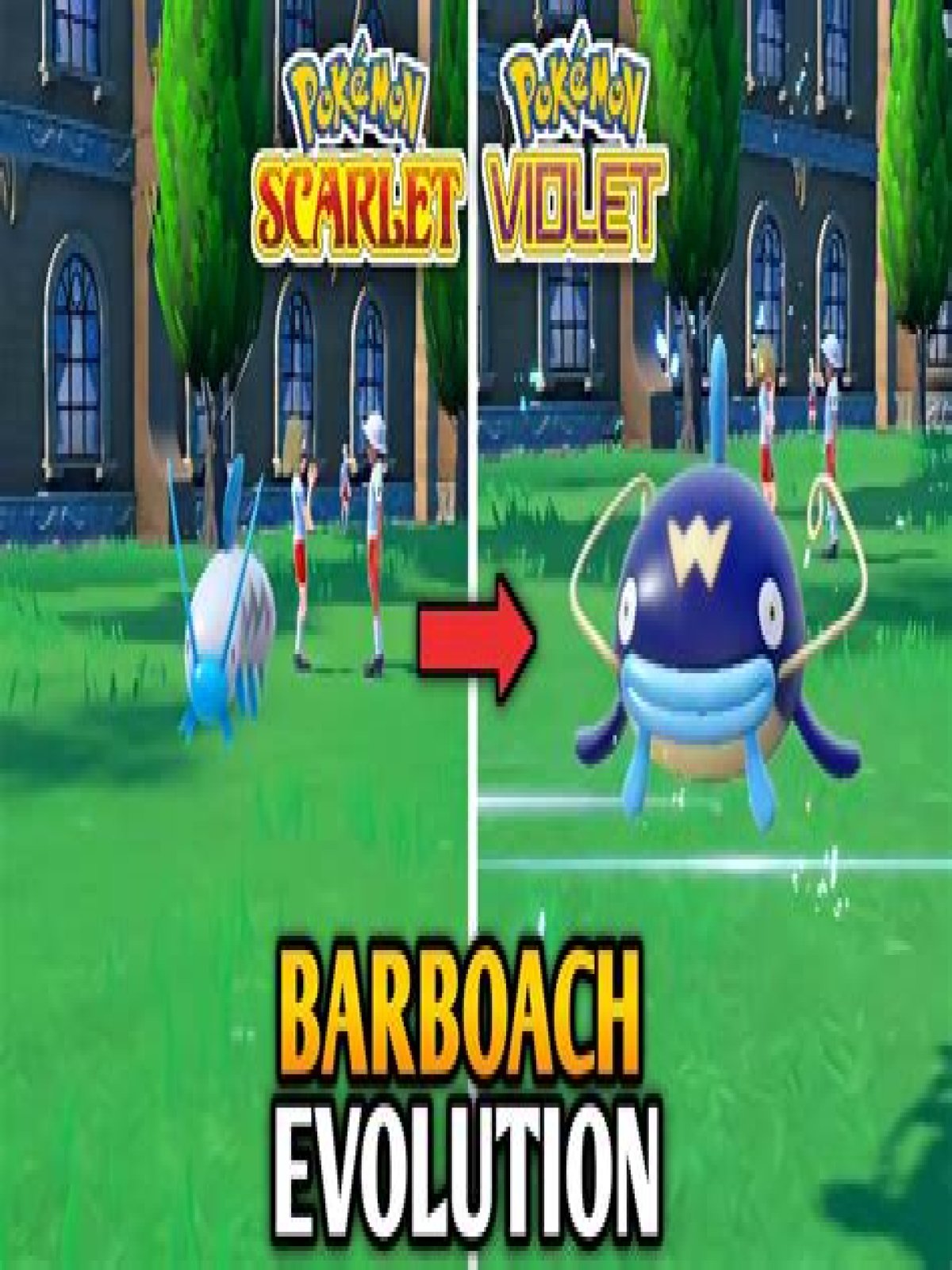 How do you evolve Whiscash?