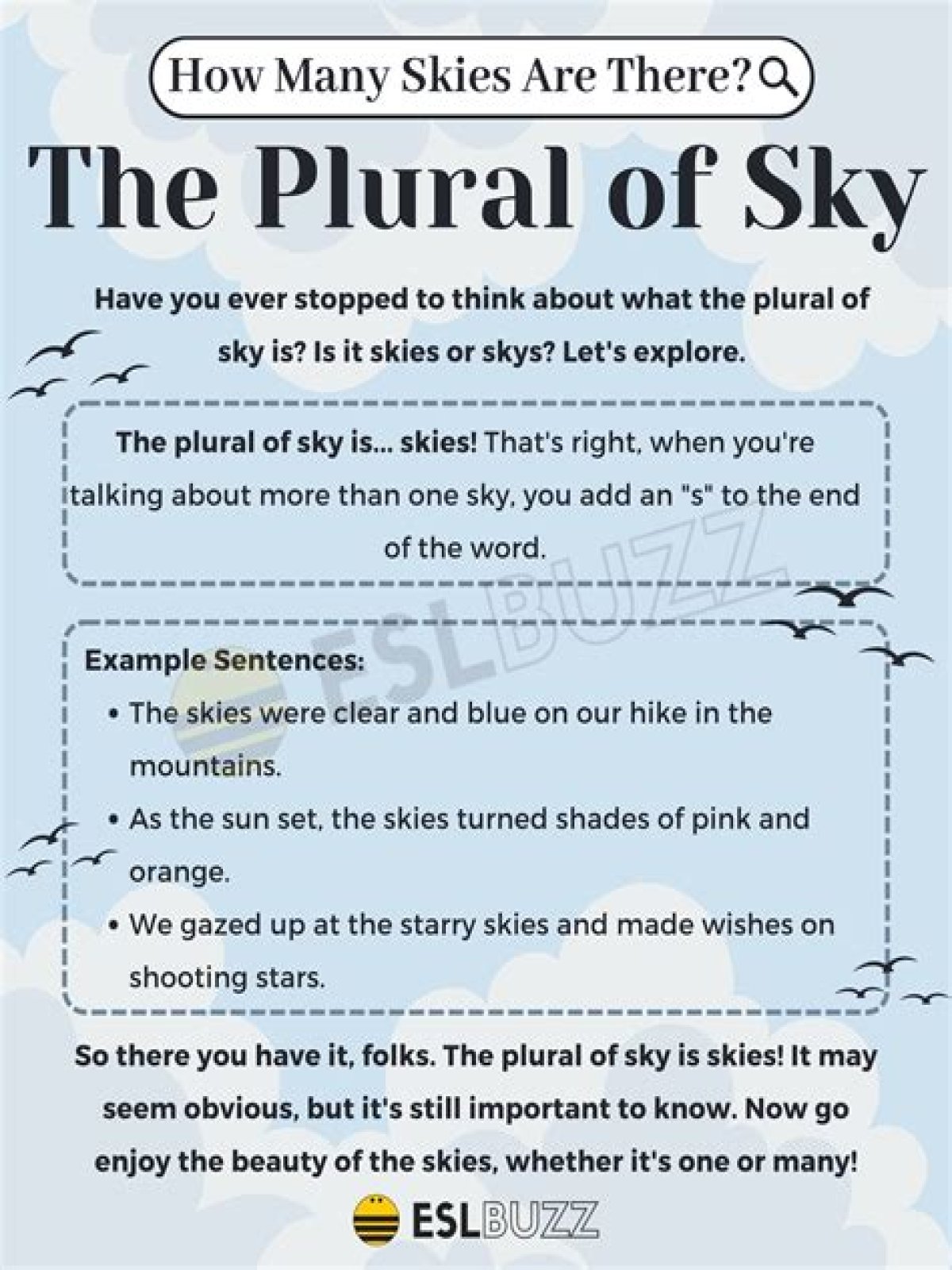 How do you spell sky in plural form?