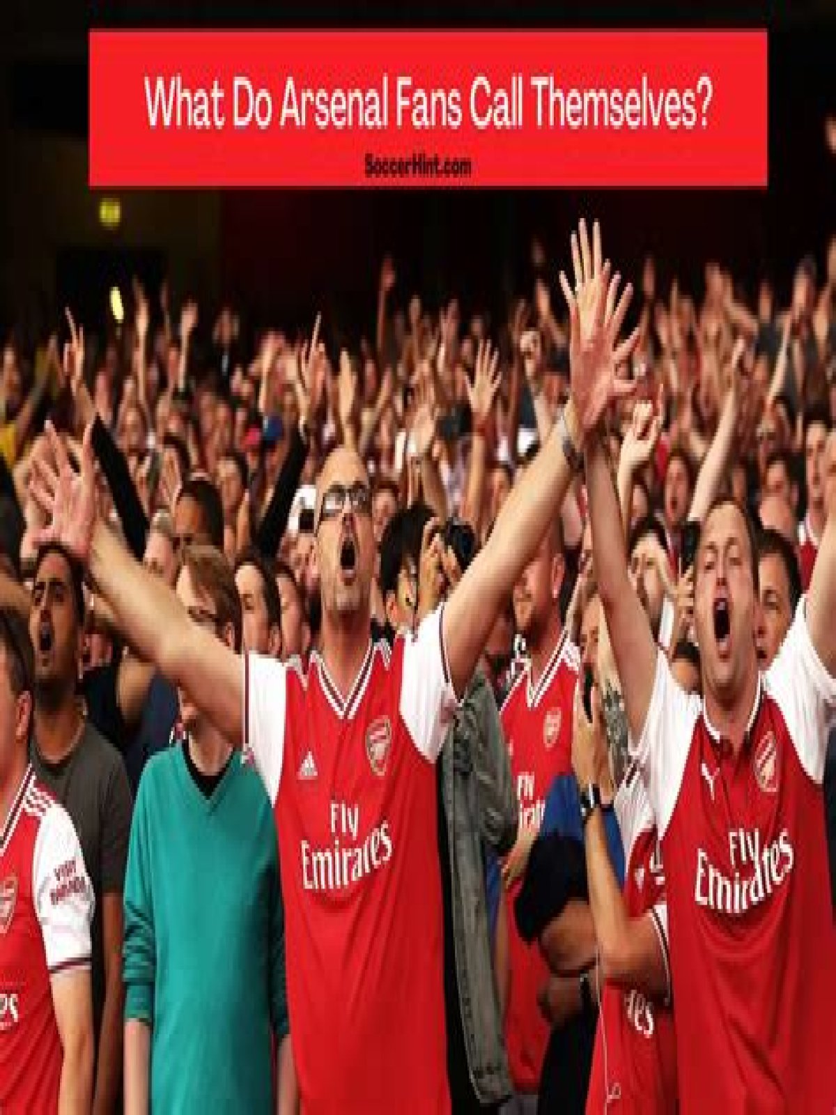 How many fans does arsenal have?