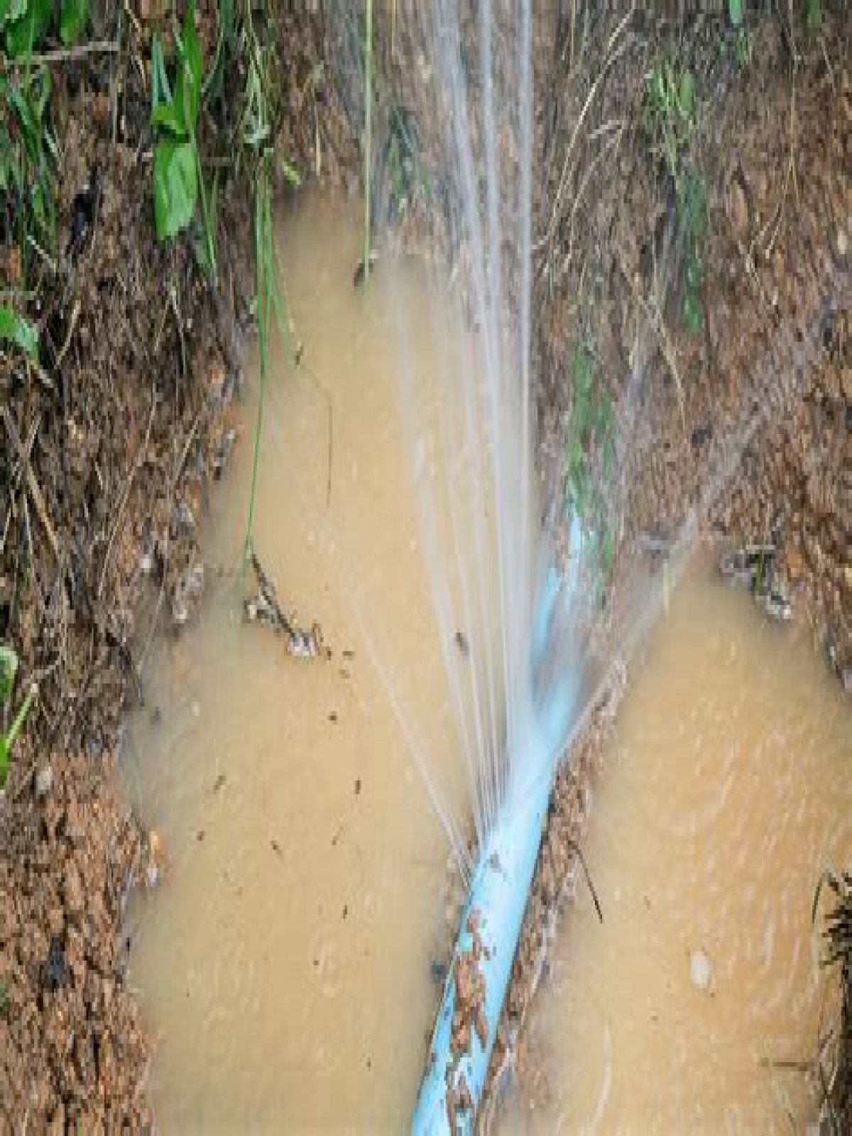 How much does it cost to fix a broken water main?