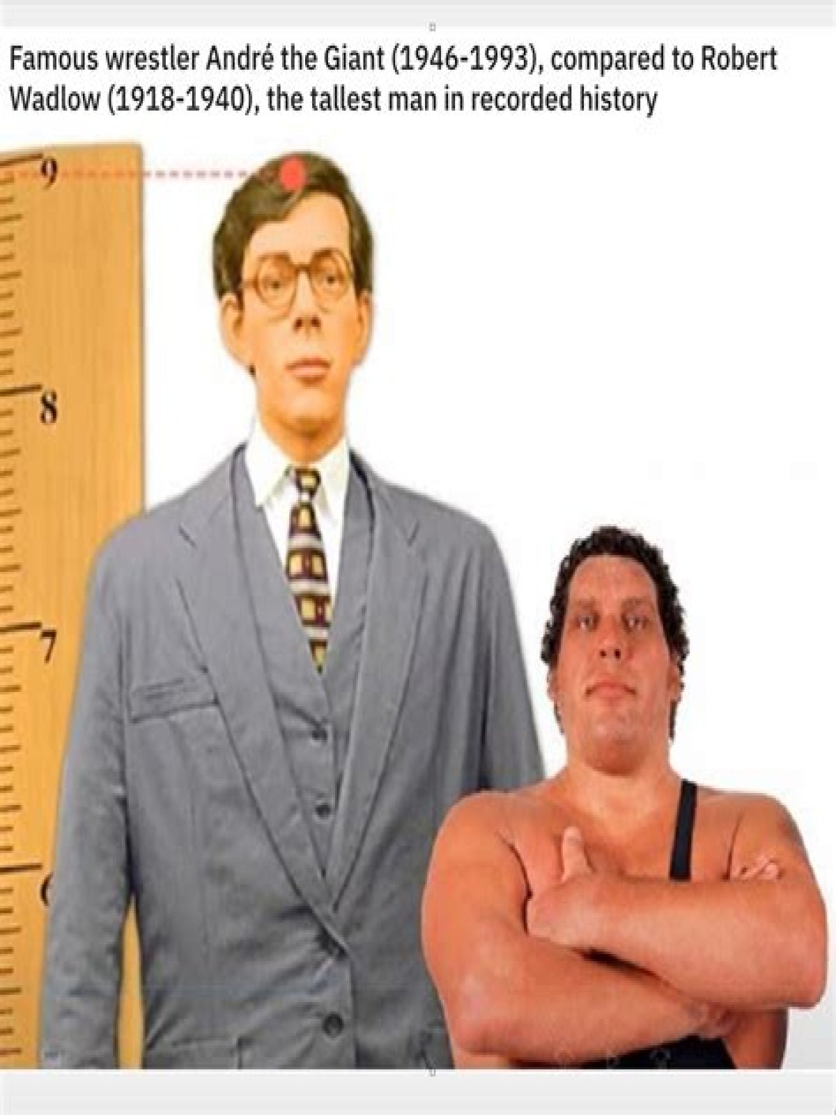 How tall is Andre The Giant - Page 16