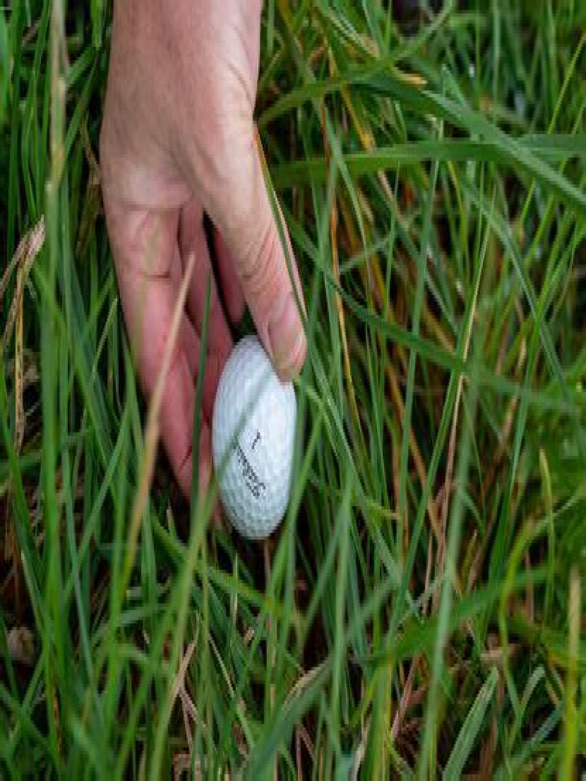 Is it OK to pick up golf balls?