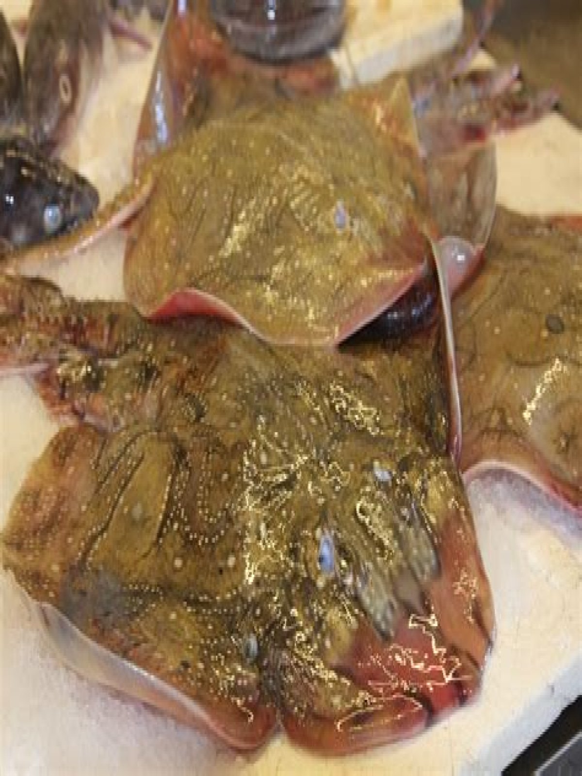 Is skate good to eat?