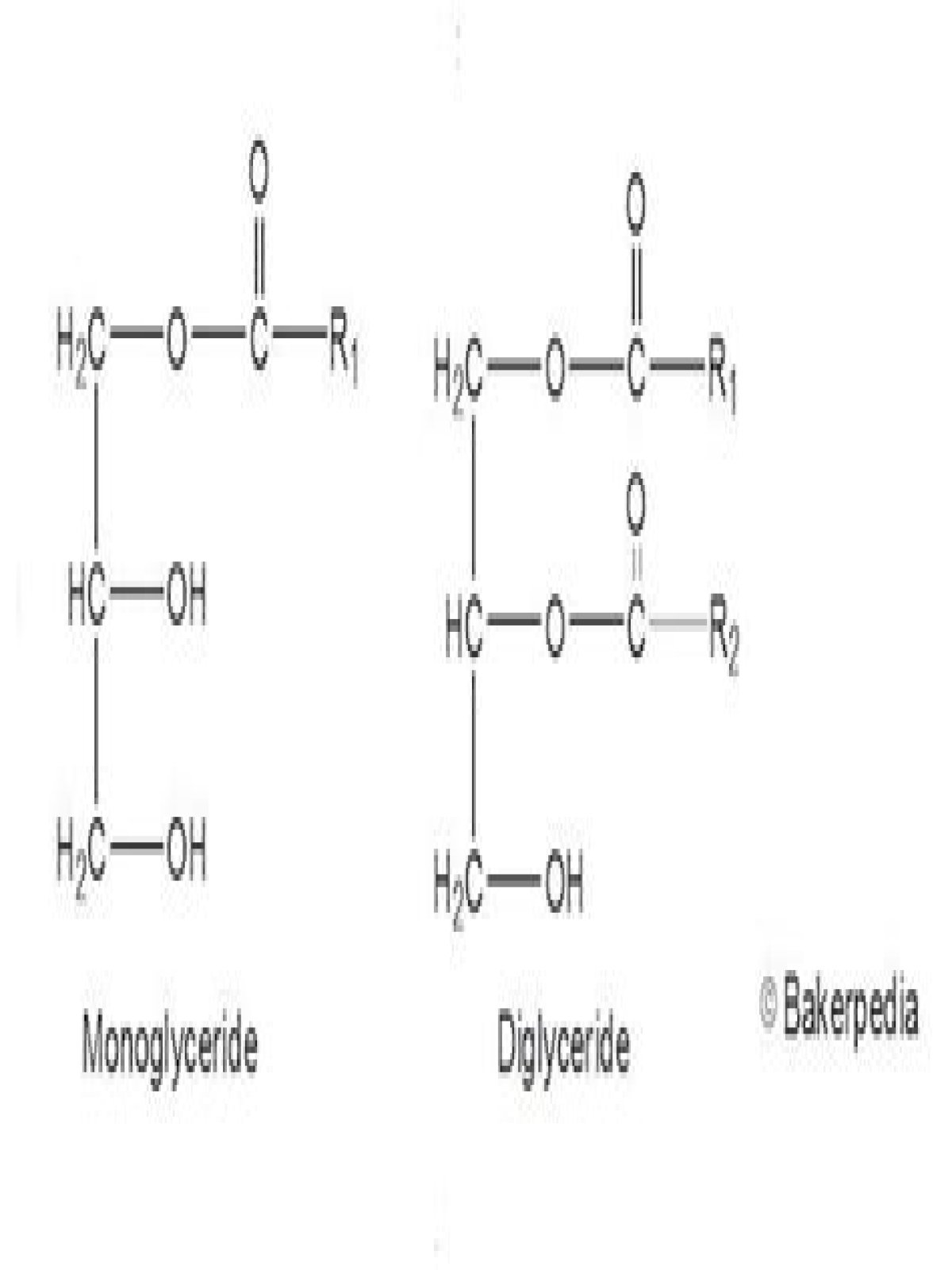 mono and diglycerides