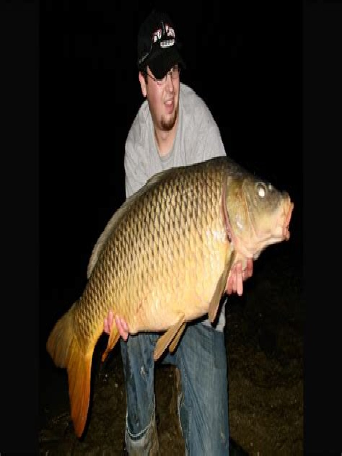What attracts carp the most?