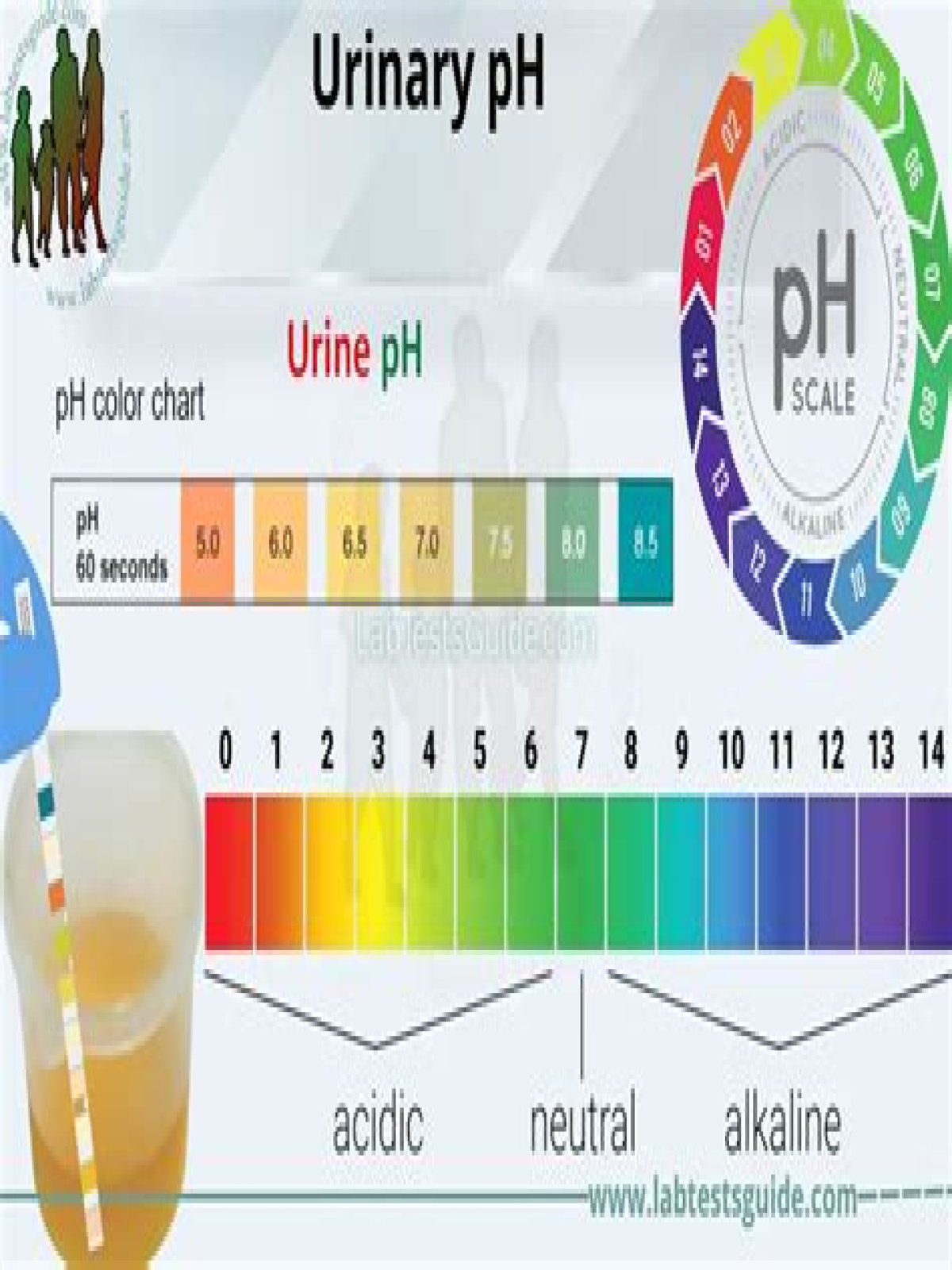 What is pH of urine in a UTI?