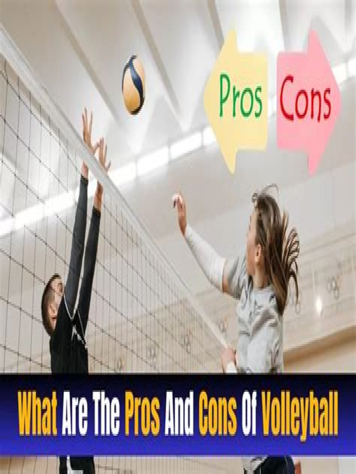 What volleyball do pros use?