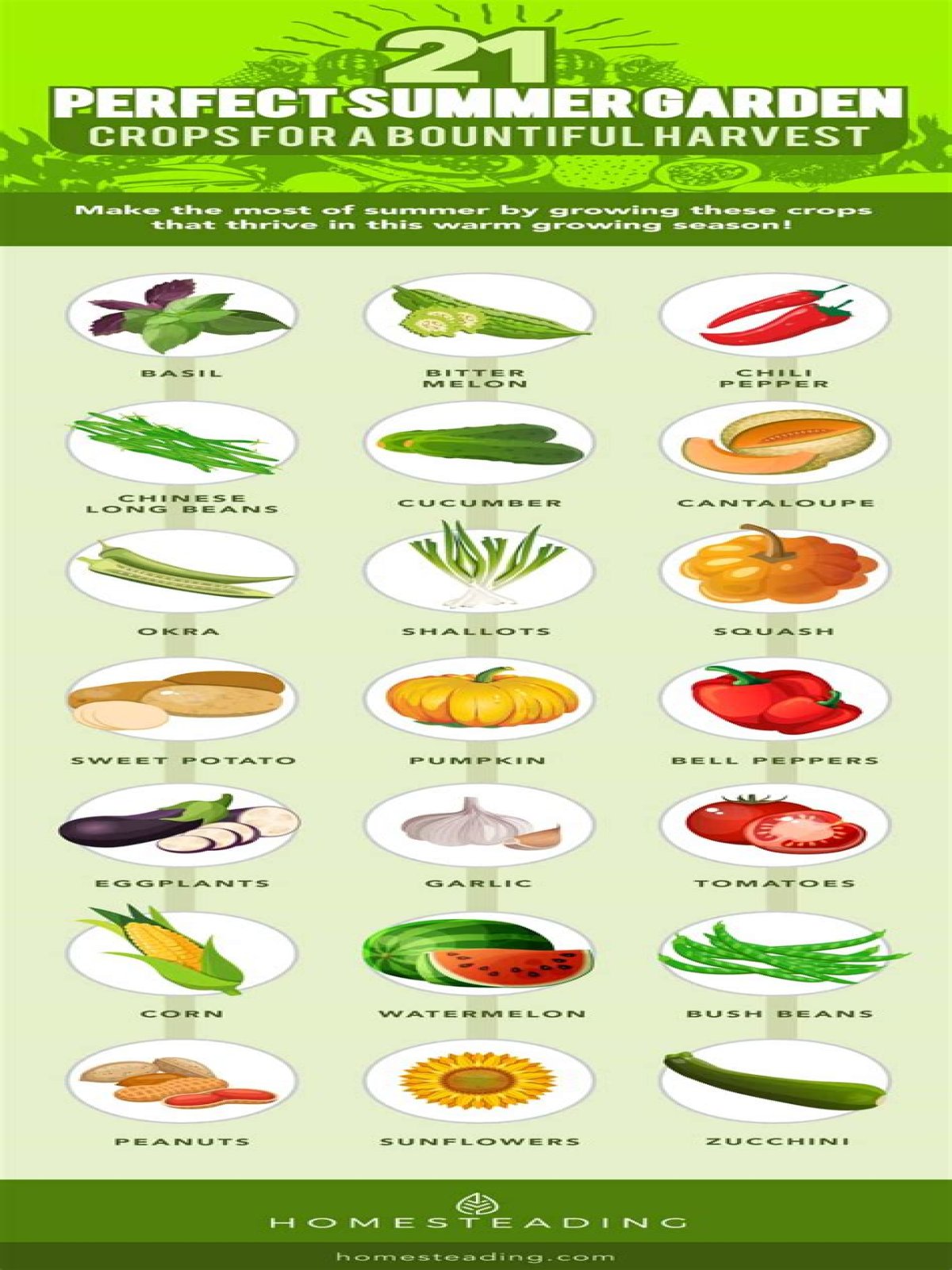 Which crops are grown in summer season?