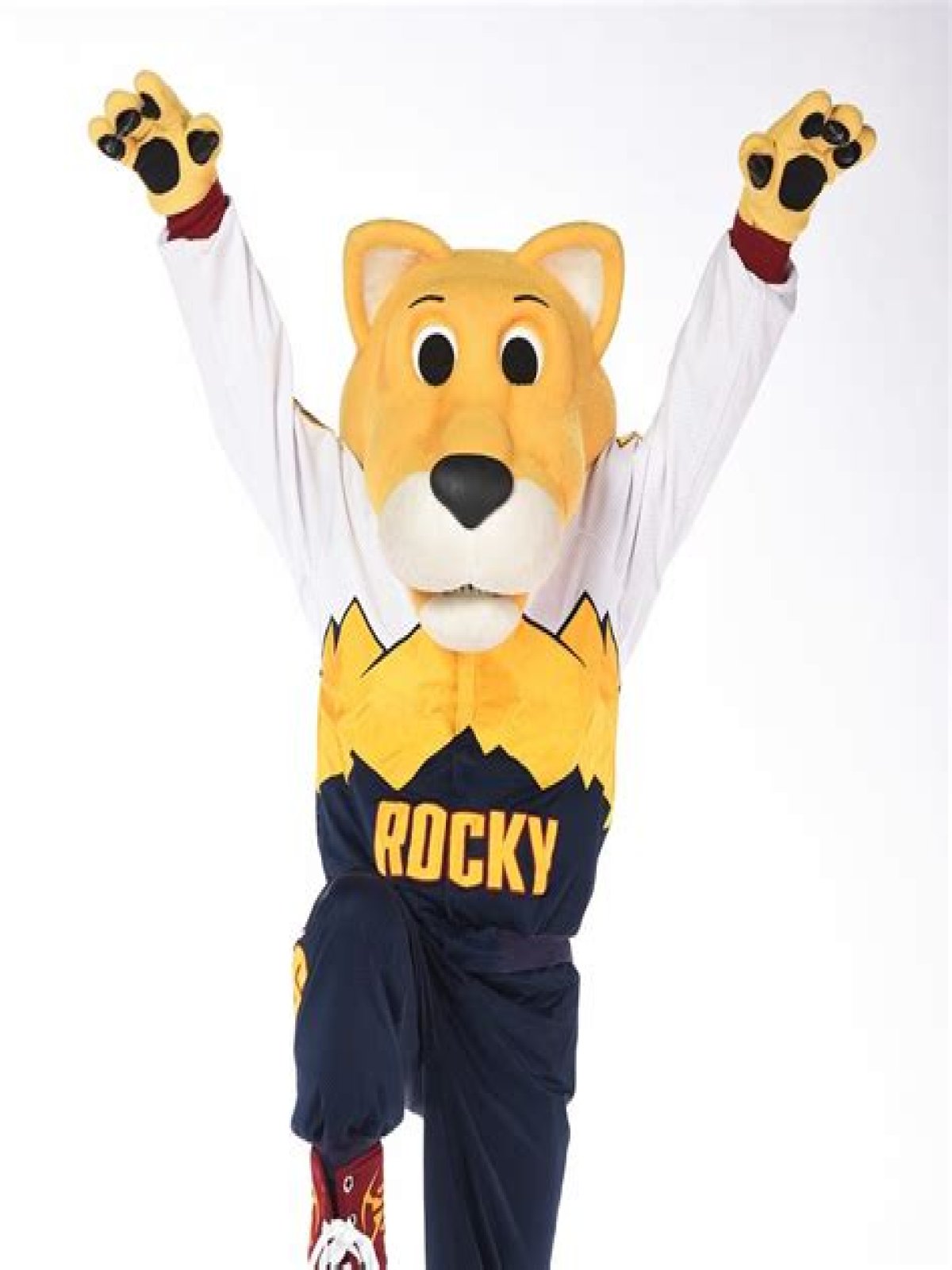 Who is Rocky the Mountain Lion?