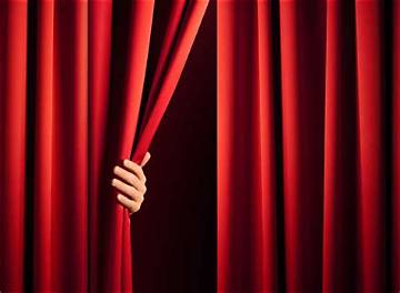 Behind the Velvet Curtain: What Clients Really Experience at Splendid Beauty Hair Salon