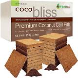 Coco Bliss - Bloginfo