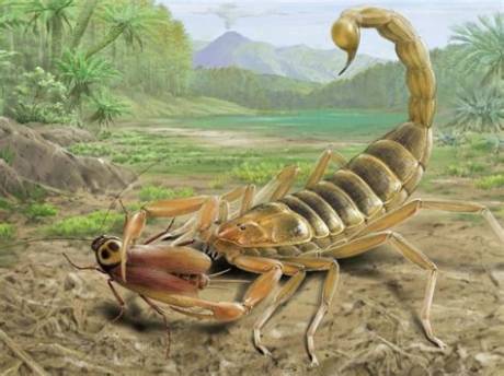 Evolution of the Scorpion Diet: How Ancient Predators Mastered Desert Survival