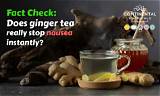 Fact Check: Does Putting Tea Leaves in Houseplants Actually Work?