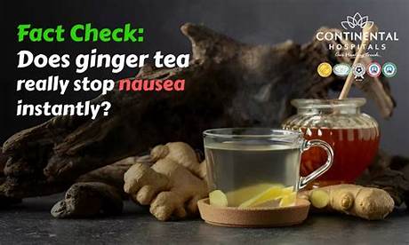 Fact Check: Does Putting Tea Leaves in Houseplants Actually Work?