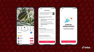 Fact-Checking the Esli Tiktok Leaks: Genuine Incident or Coordinated Hoax?