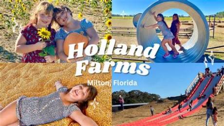 Holland Farms Milton Fl Schedule: Seasonal Openings, Harvests, and Event Dates