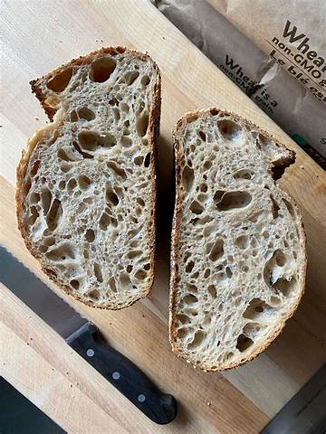 Inside the Sourdough Jack: Taste Test, Texture Breakdown, and Burger Rankings