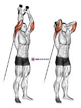 Overhead Rope Extension Anatomy Breakdown: How It Builds Massive Upper Arms
