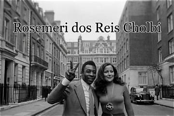 Rosemeri Dos Reis Cholbi - Bloginfo
