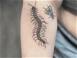 The Centipede Tattoo Revival: How Viral Ink Evolved from Indigenous Art to 2026 Trend