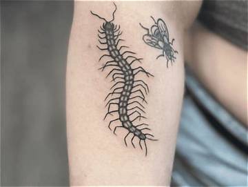 The Centipede Tattoo Revival: How Viral Ink Evolved from Indigenous Art to 2026 Trend