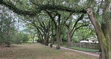 Visiting Hopelands Gardens in Aiken, Sc: Hours, Concert Tips, and Visitor Guide