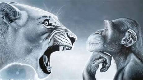 Where Did the 'Monkey Rage Baiting Lion' Meme Come from? the Viral Origin Revealed